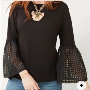 Elegant Black Bell Sleeve Blouse